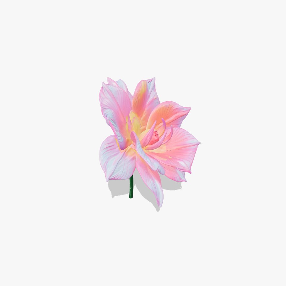 Iridescent Floral Marvel Model Pack