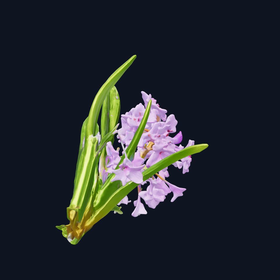 Water Hyacinth with Violet Blooms model pack