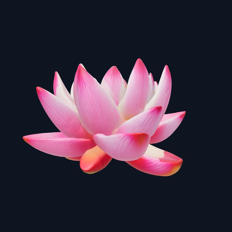 Water Lily Flower D Model Pack