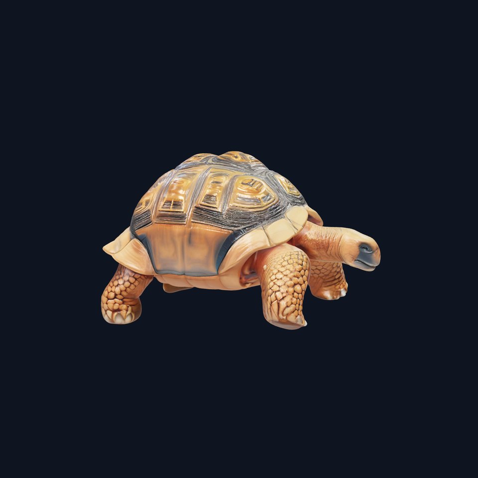 Galapagos Tortoise Realistic Texture model pack