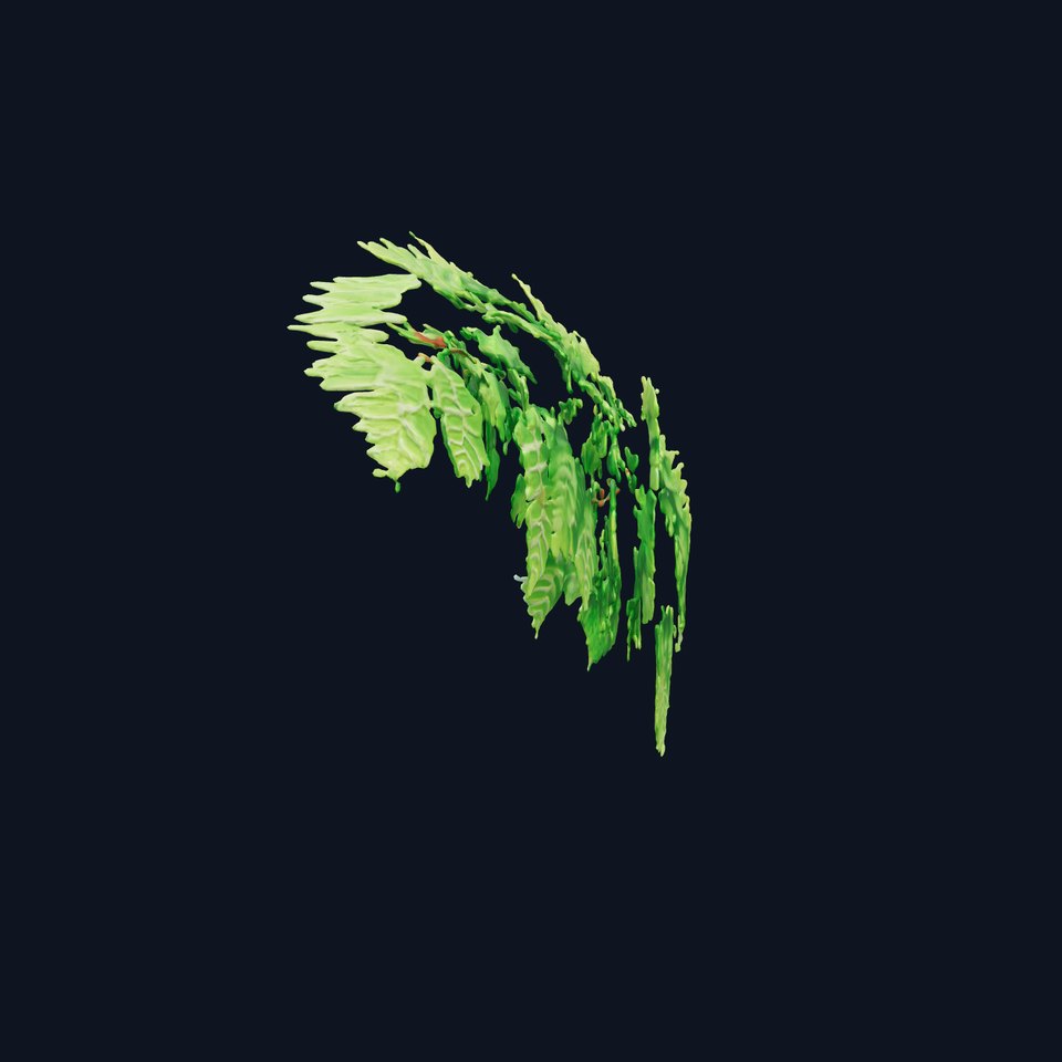 Photorealistic Pteridium Fern Triangular Leaves model pack