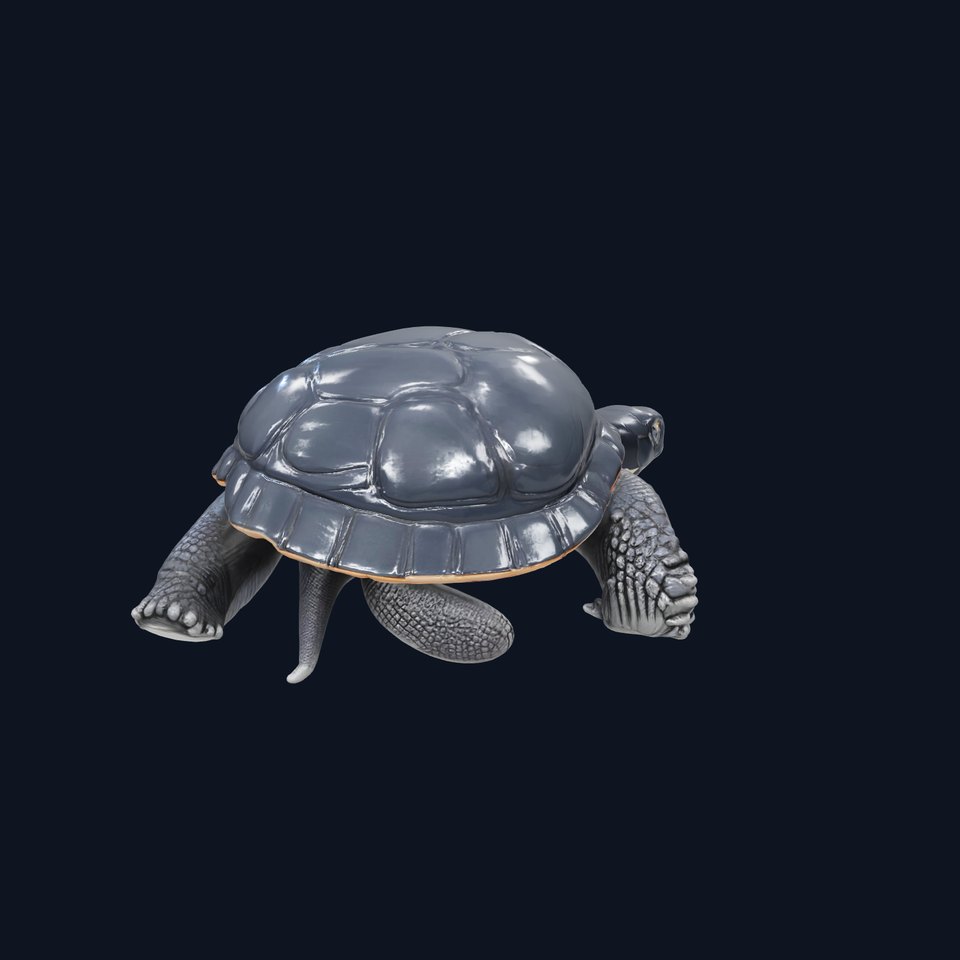 Leatherback Turtle Detailed Shell model pack