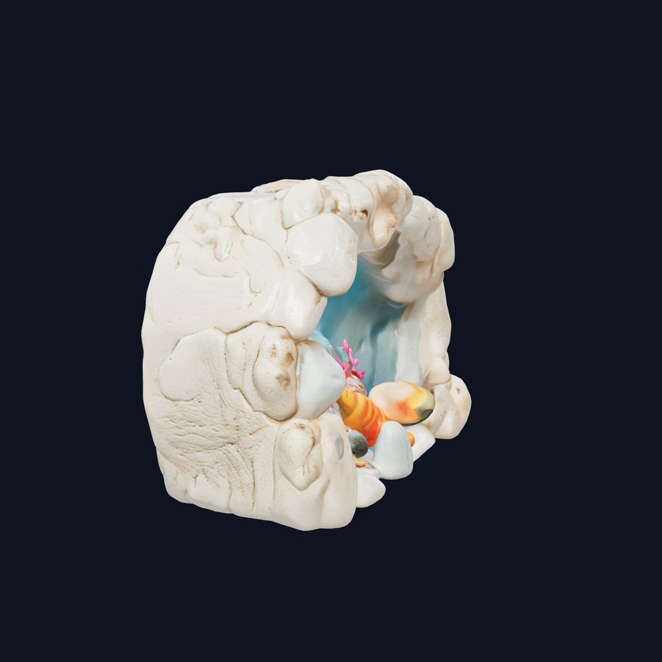 Underwater Grotto with Marine Life model pack