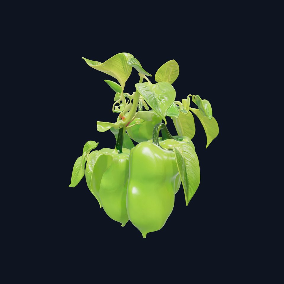 Pepper Plant Vegetation Model Pack