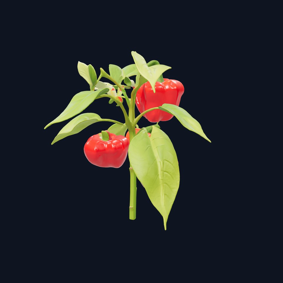 Red Pepper Plant Vegetable D Model Pack