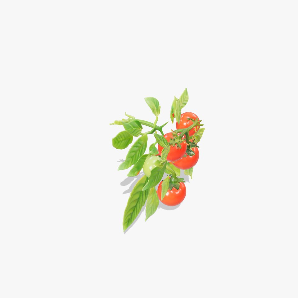 Tomato Plant Detailed Texture model pack