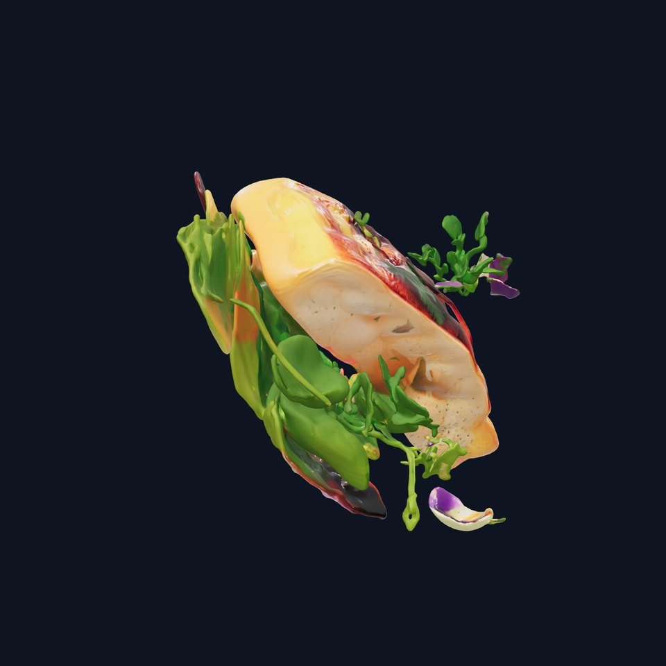 Gourmet Grilled Salmon Dish Model Pack