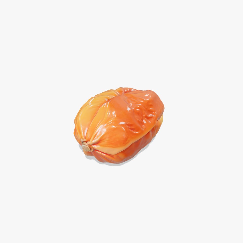 Dried Date Fruit Detailed Model Pack