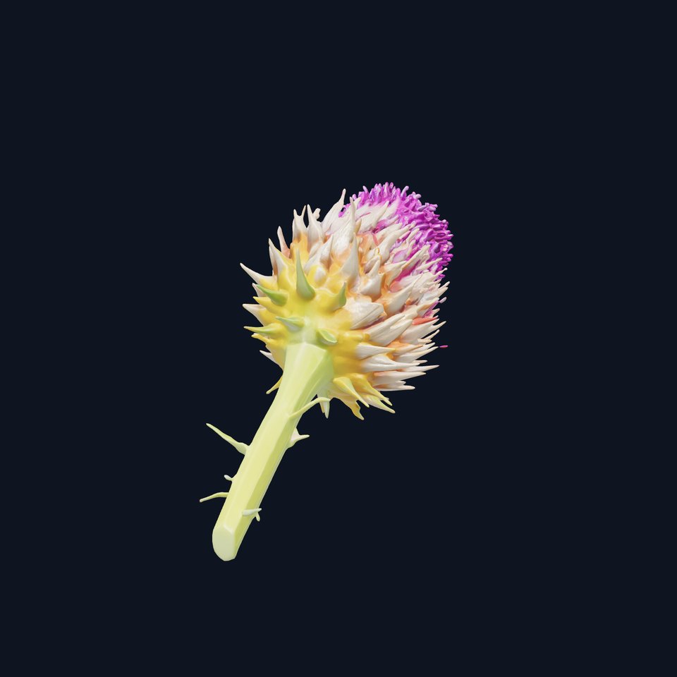 Thistle Flower with Detailed Textures Model Pack