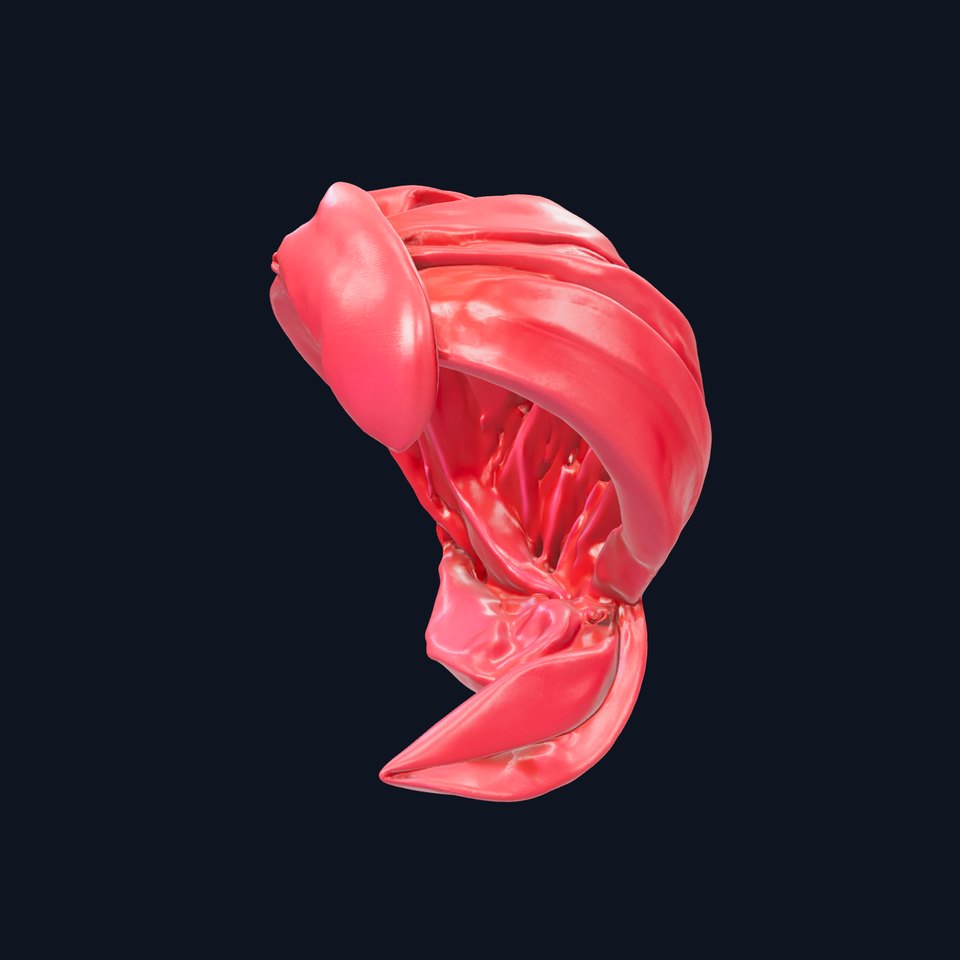 Luxurious Silk Turkish Turban model pack