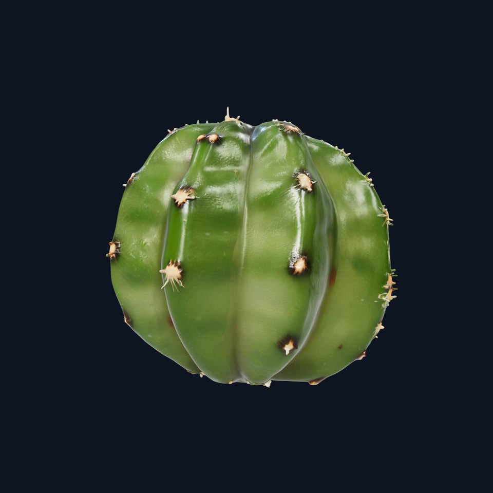 Opuntia Cactus Miniature Sculpture model pack