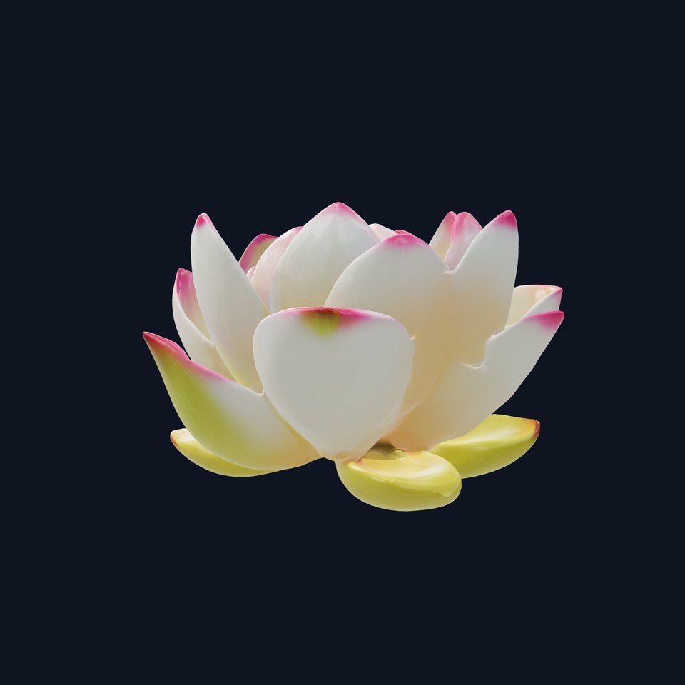 Lotus Flower Sculpture model pack