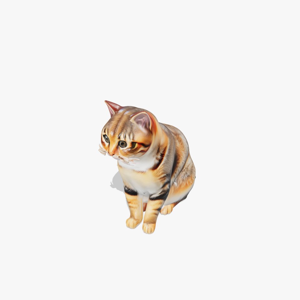 Realistic Domestic Cat D model pack