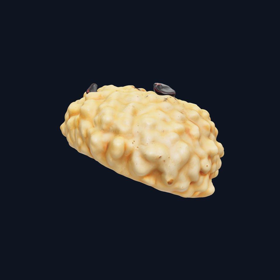 Creamy Risotto with Black Garlic Garnish model pack