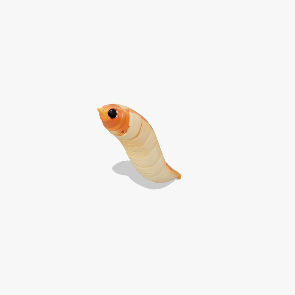 Realistic Worm Creature D Model Pack