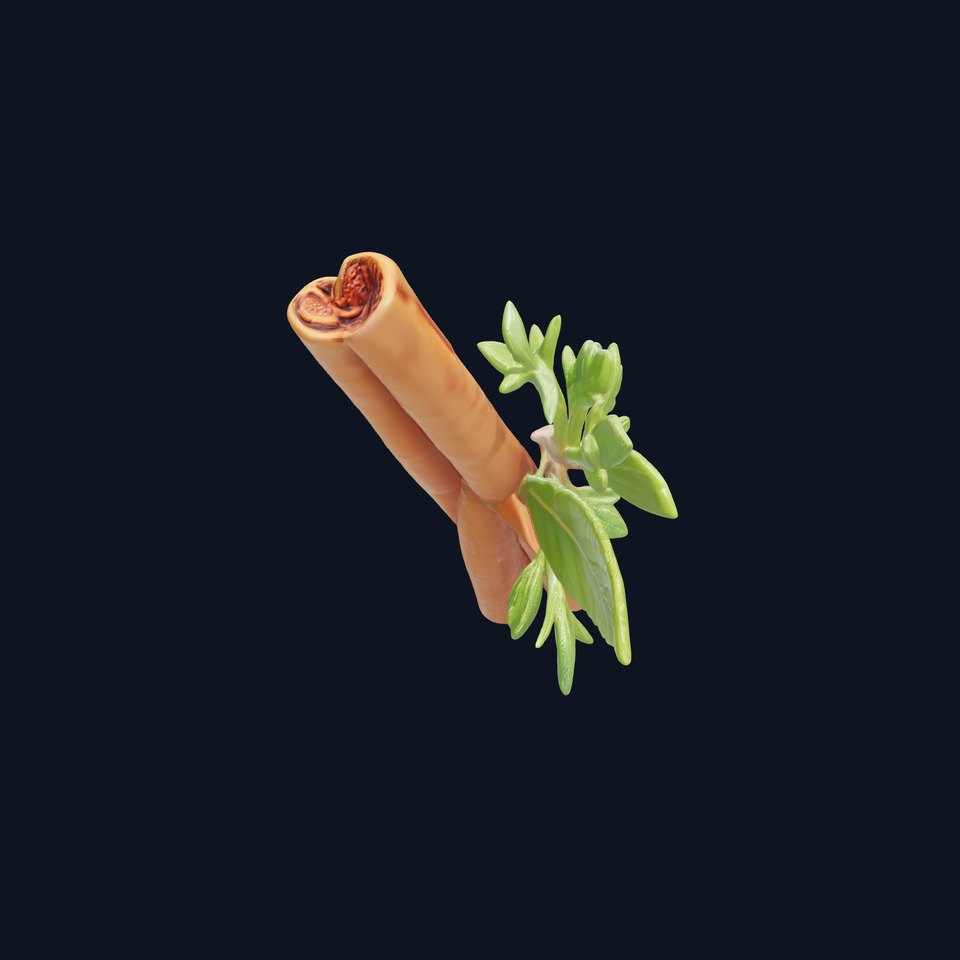 Cinnamon Stick with Herbs Model Pack
