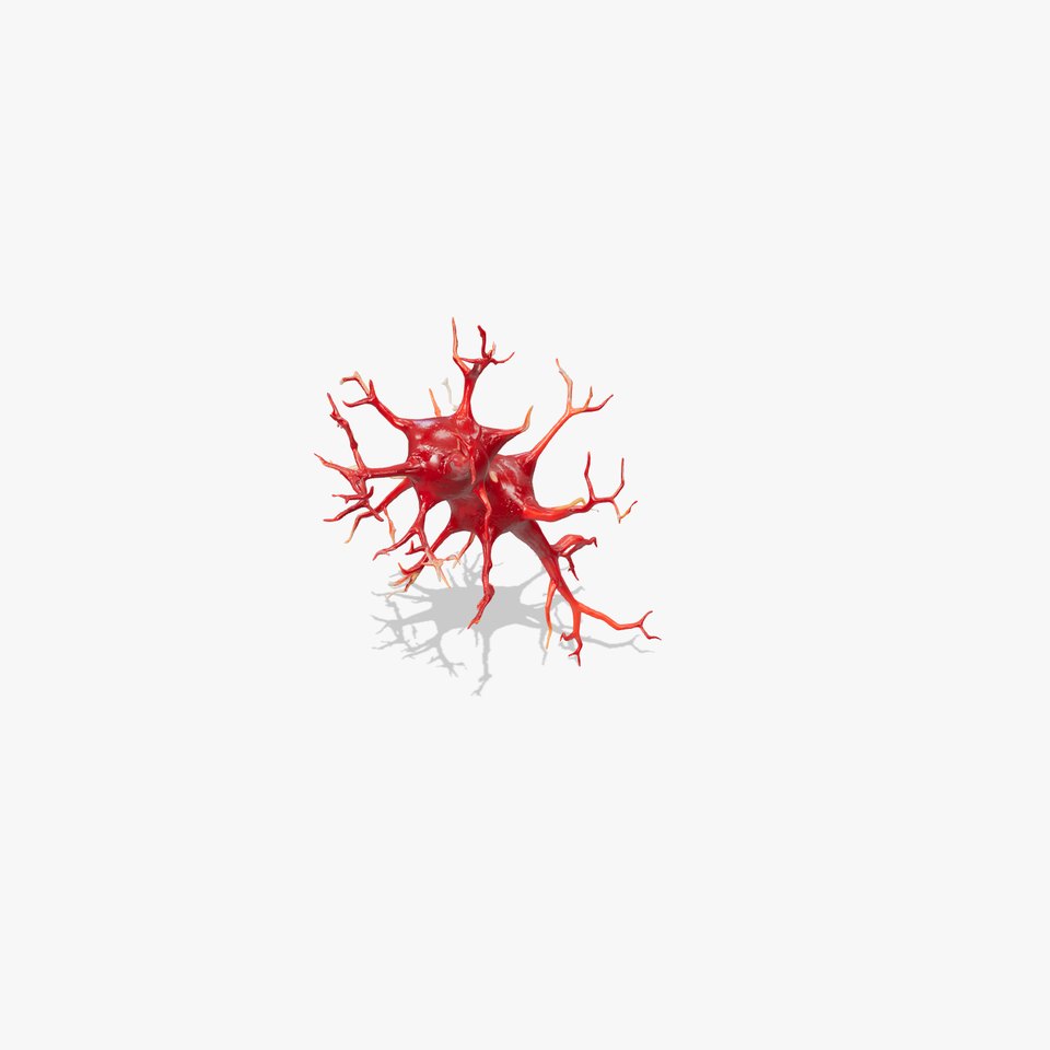 Neuron Cell Model Pack