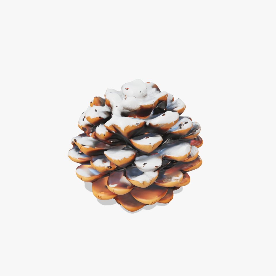SnowDusted Pine Cone D Model Pack
