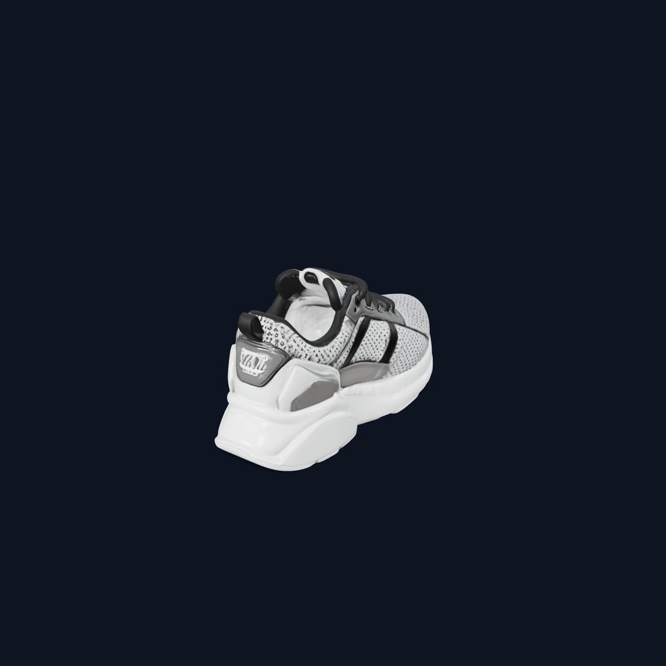 Sneaker D Model Pack with HighQuality Textures
