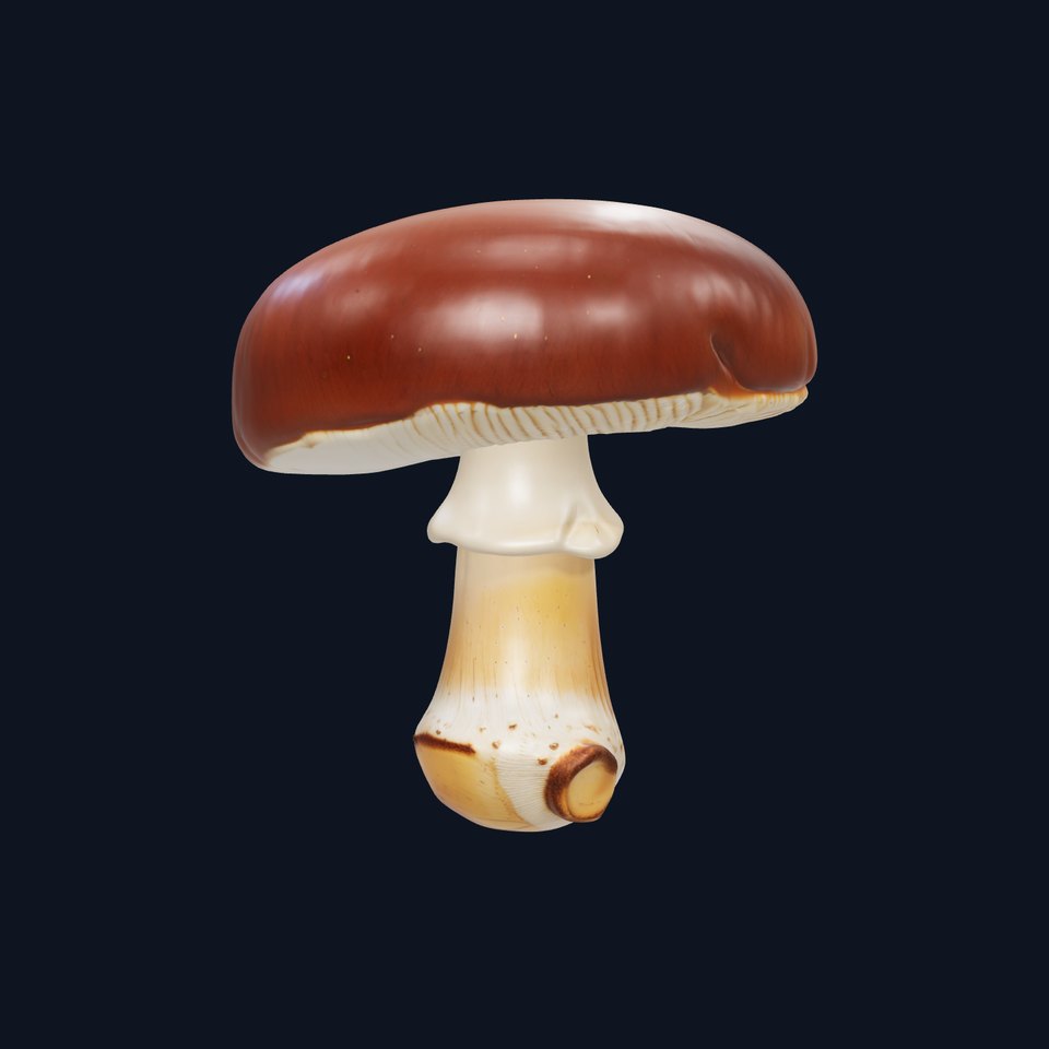 Realistic Mushroom Model Pack for D Environments and Games