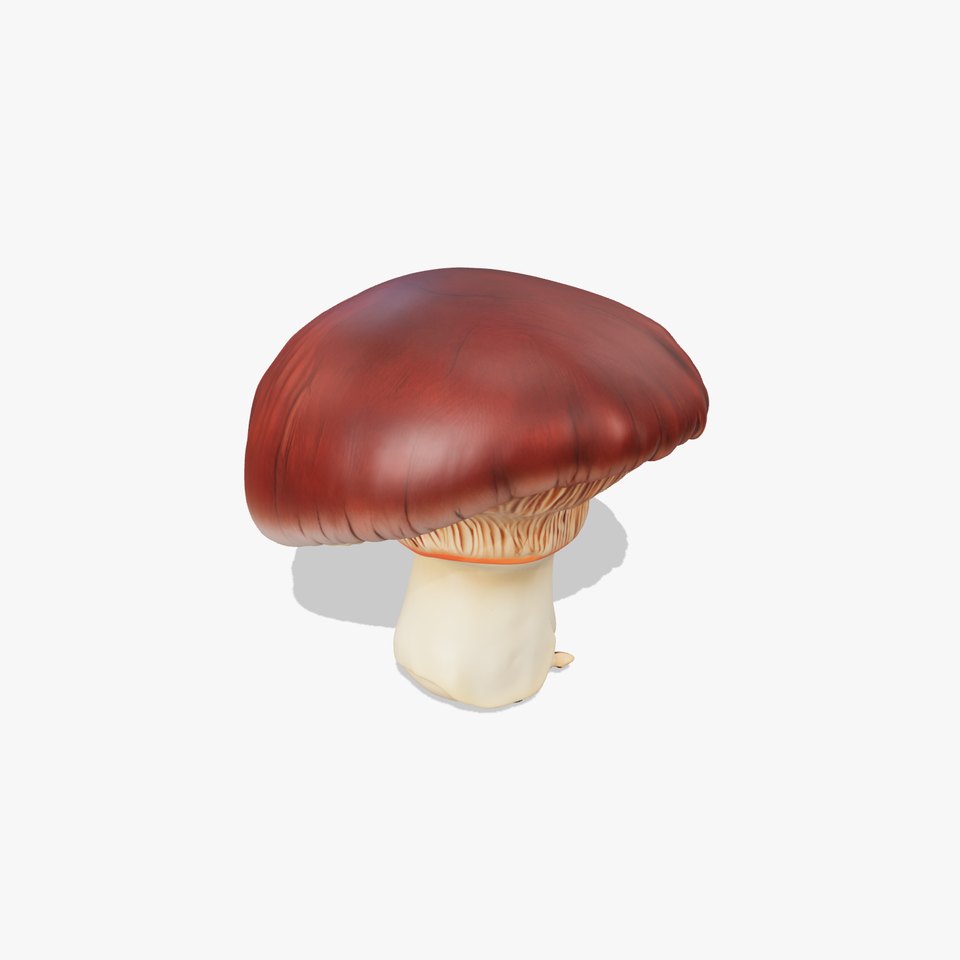 Realistic Mushroom Model Pack for Game and Animation Projects