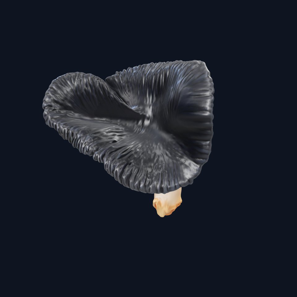Dark Mushroom Model Pack for Realistic Environments