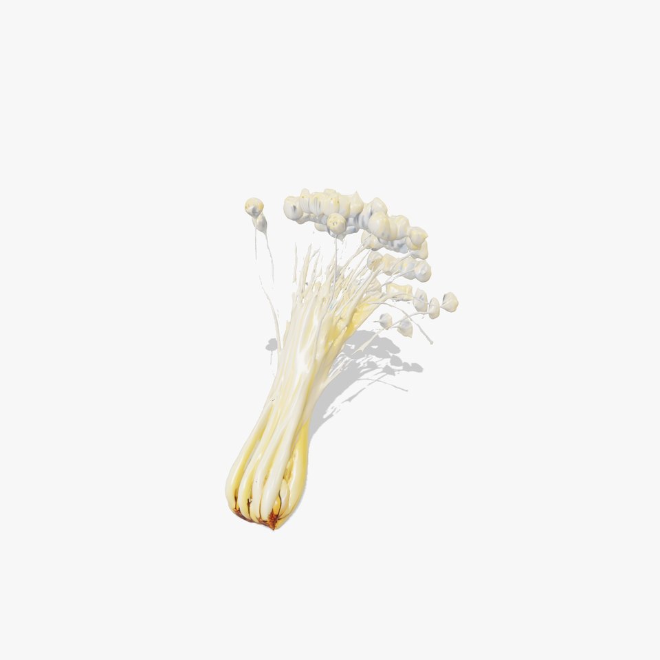 Mushroom Cluster Model Pack for D Rendering and Game Engines