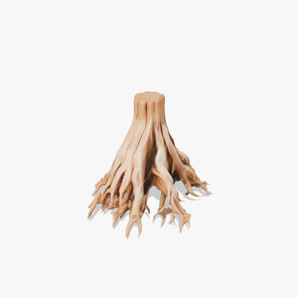 Tree Roots D Model Pack with Detailed Texture