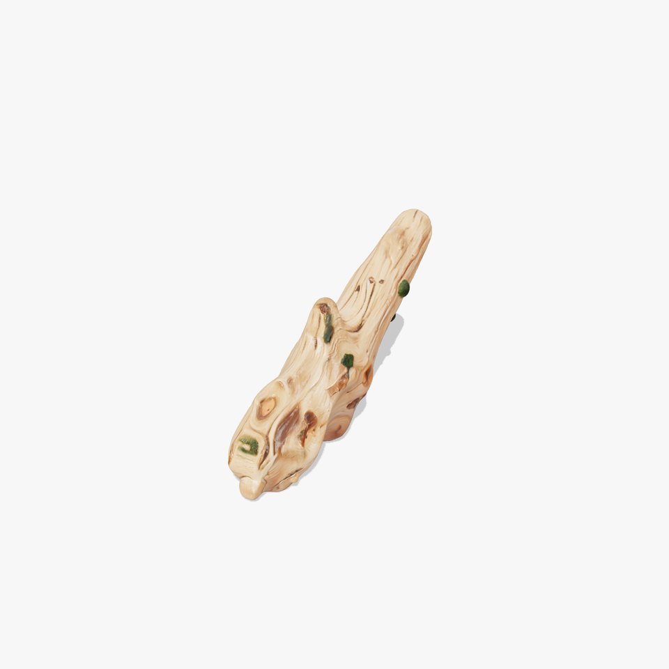Wooden Log with Moss Model Pack