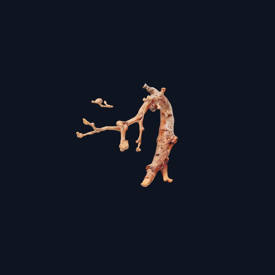 Realistic Tree Branch Model Pack for Environment Design