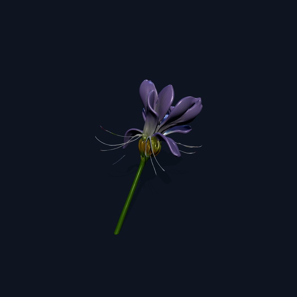 Elegant Purple Flower Model Pack for Animation and Design