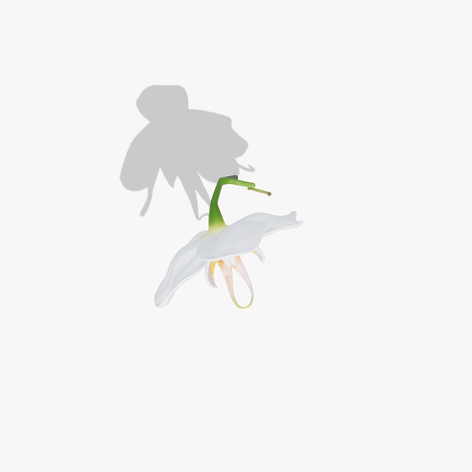 Elegant Orchid Flower D Model Pack