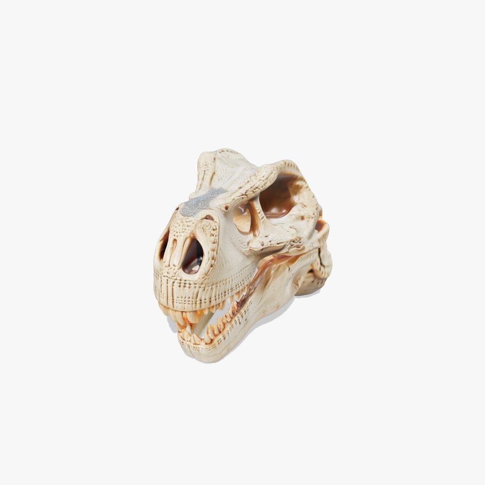 Tyrannosaurus Skull Model Pack