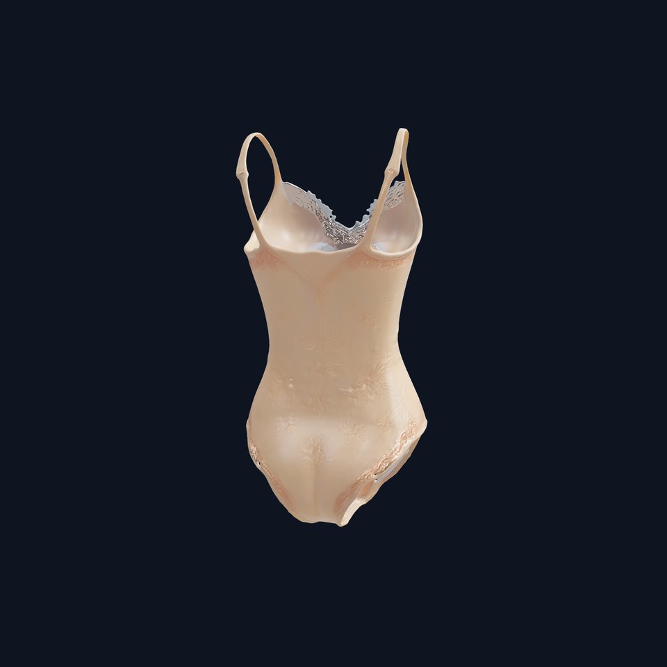 Elegant Lace Bodysuit Model Pack