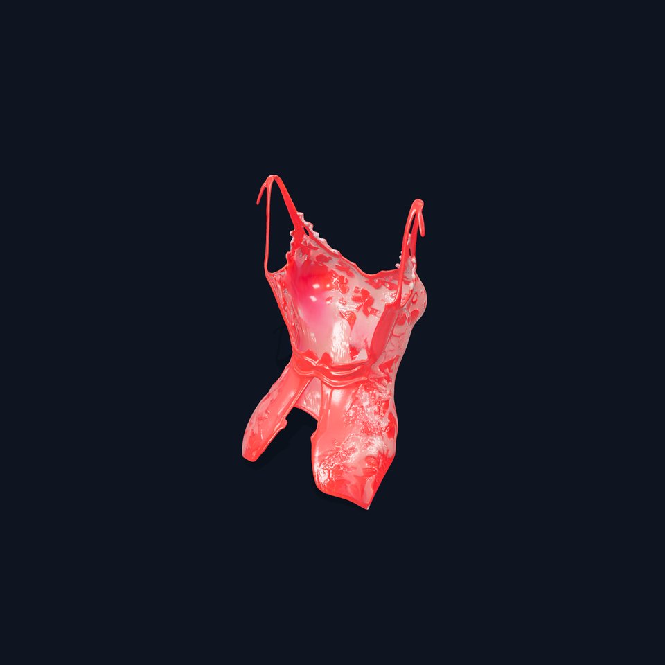 Floral Lace Lingerie Bodysuit Model Pack