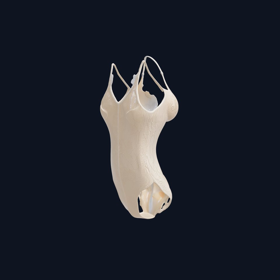 Elegant Lace Bodysuit D Model Pack