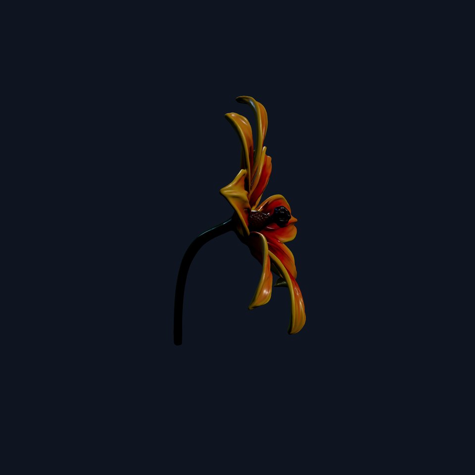 Vibrant Orange Flower Model Pack for D Rendering