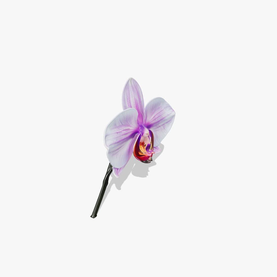 Orchid Flower Model Pack with Detailed Textures