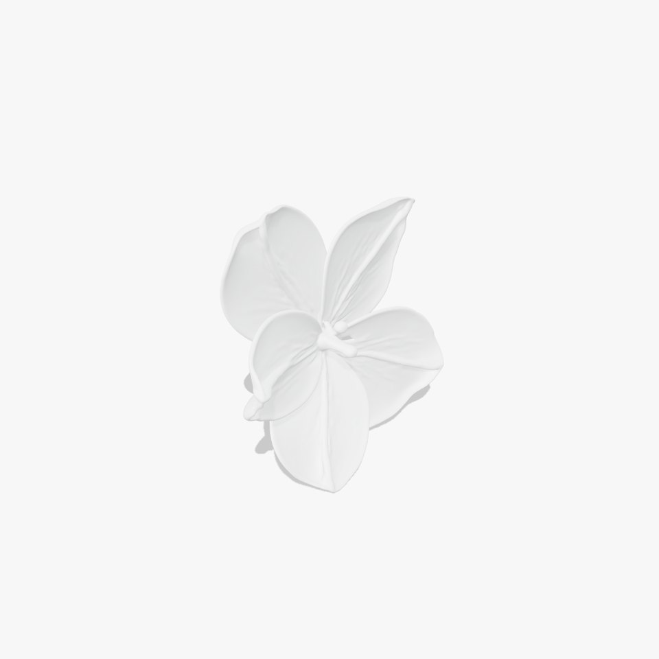 Vibrant Multicolor Flower Model Pack for D Rendering and Animation