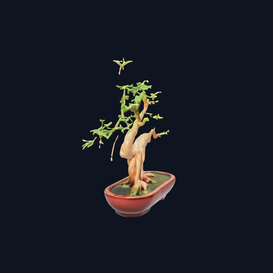 Realistic Bonsai Tree D Model Pack