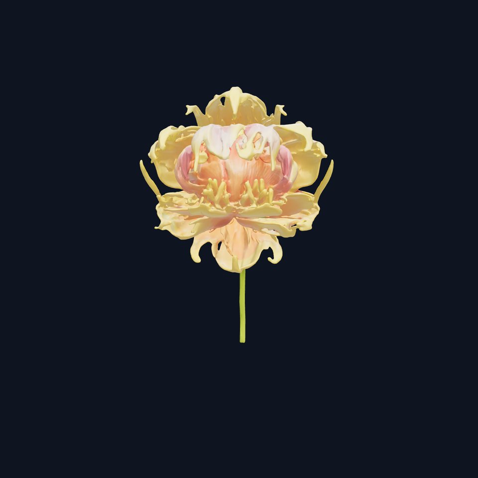 Elegant Bloom Model Pack  Dynamic Flower Collection