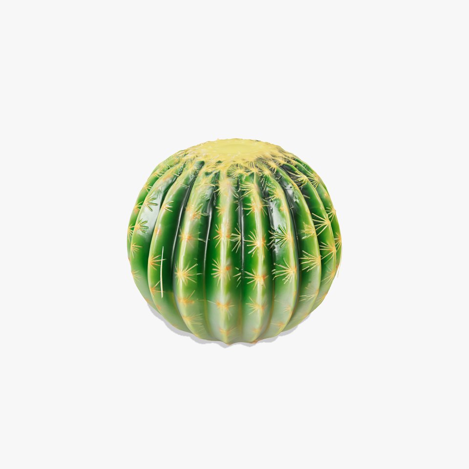 Barrel Cactus Model Pack for D Environments