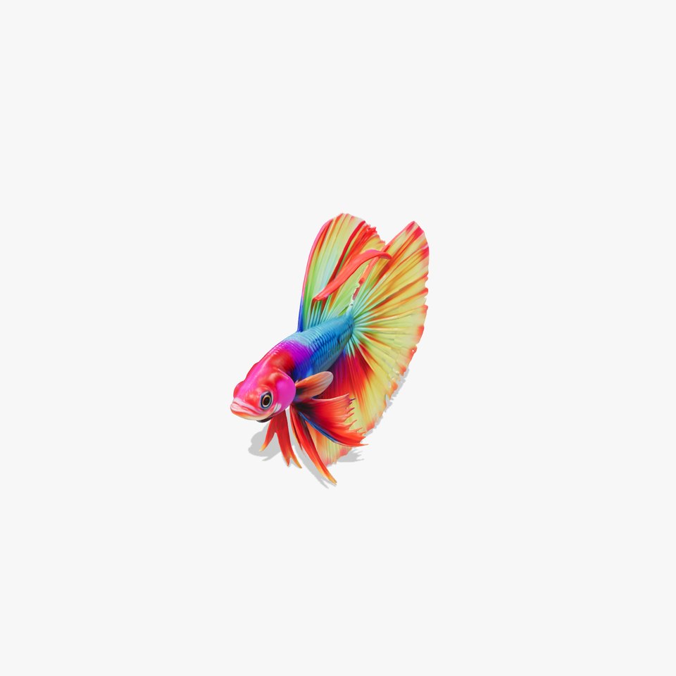 Vibrant Betta Fish Model Pack