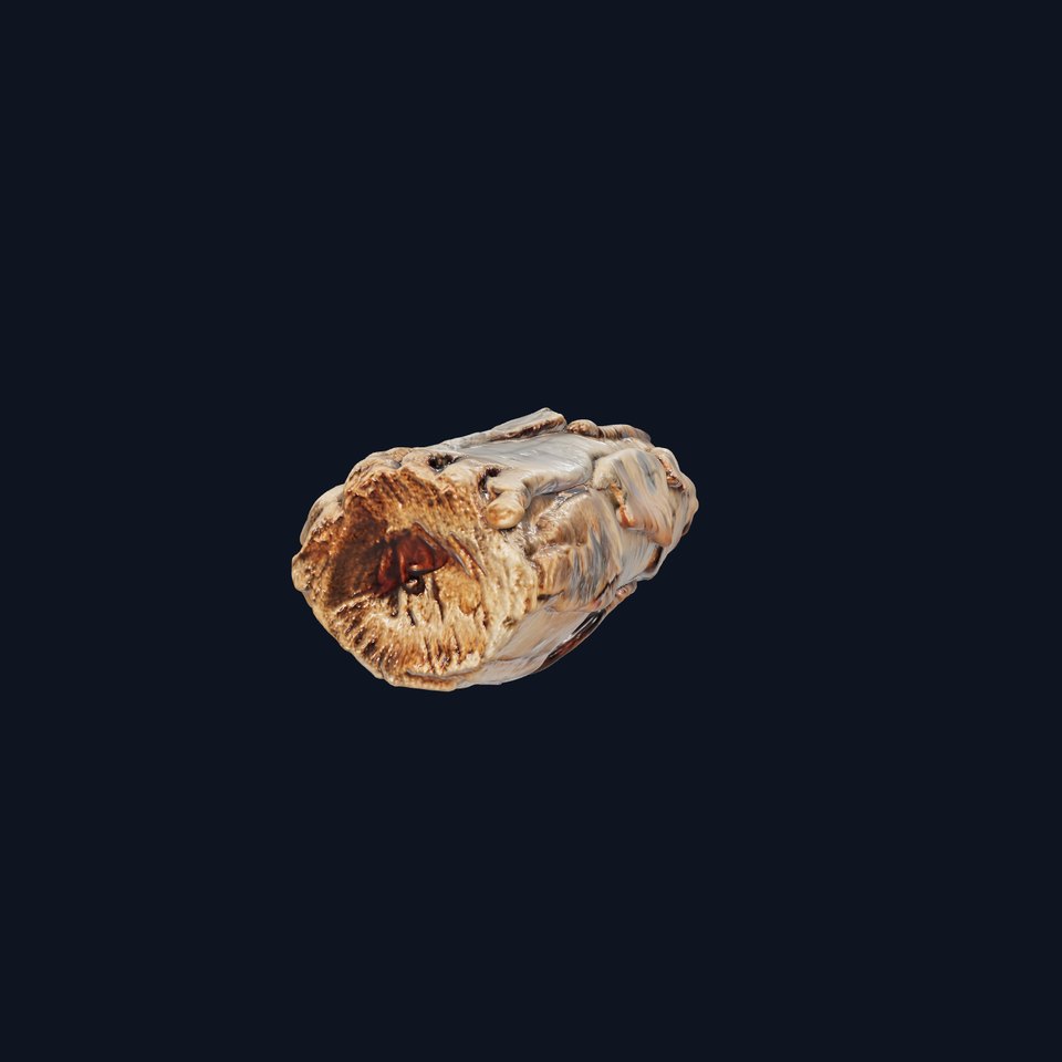 Tree Bark Texture Model Pack with High Detail