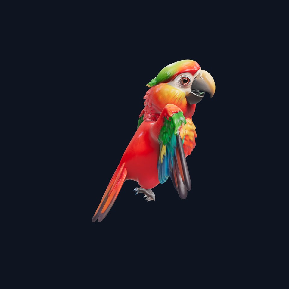 Colorful Parrot D Model Pack for Animation and Games