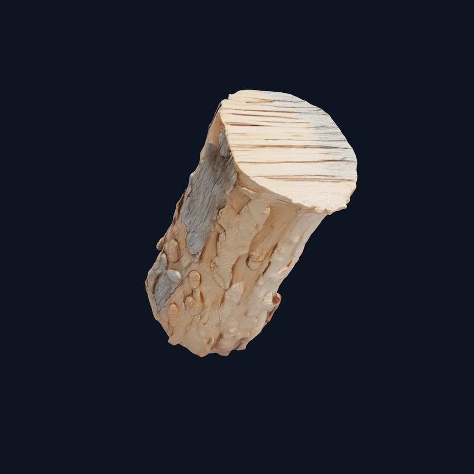 Realistic Bark Texture Model Pack for Environment Design