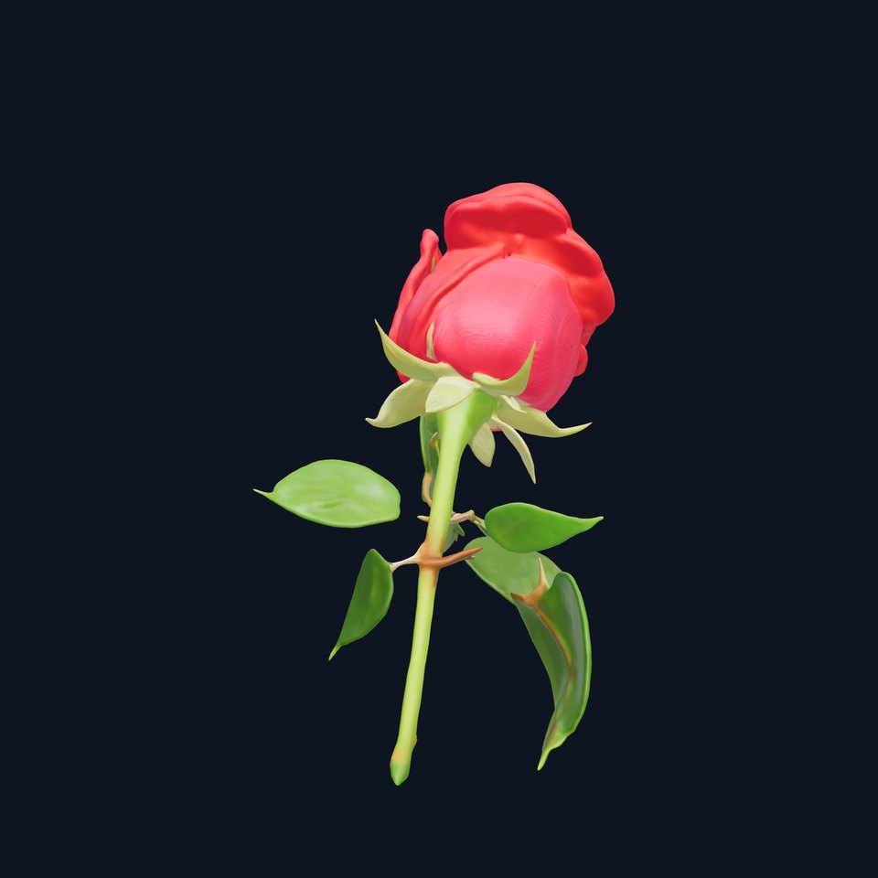 Realistic Red Rose D Model Pack