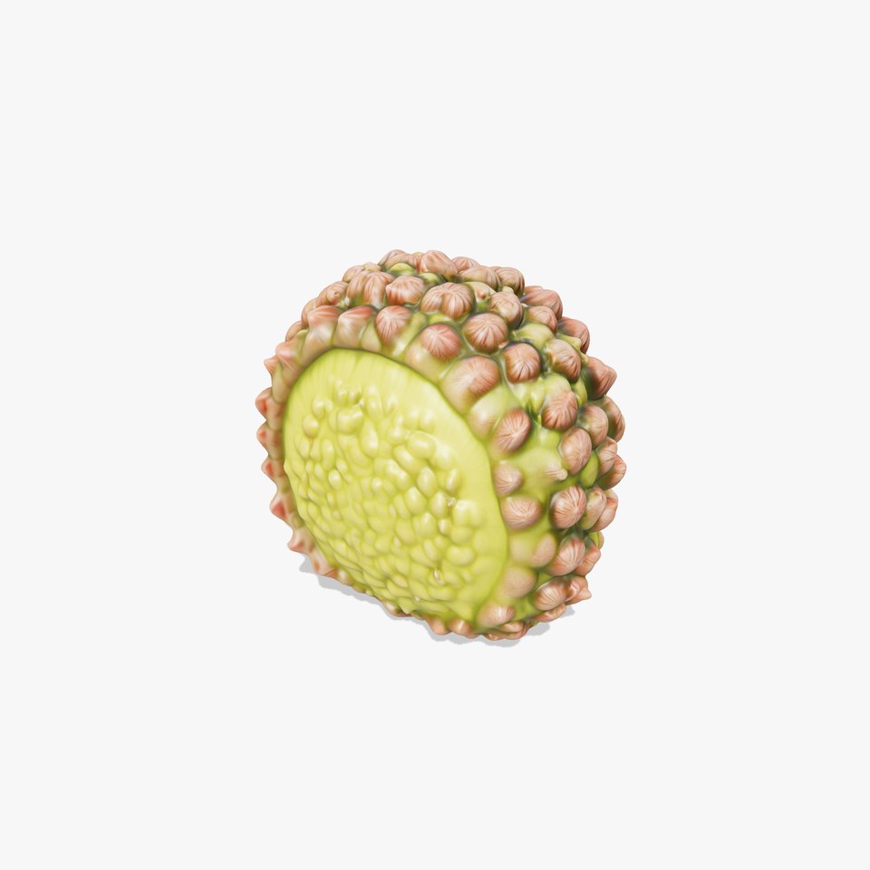 Exotic Fruit Jackfruit Model Pack for Environment and Animation