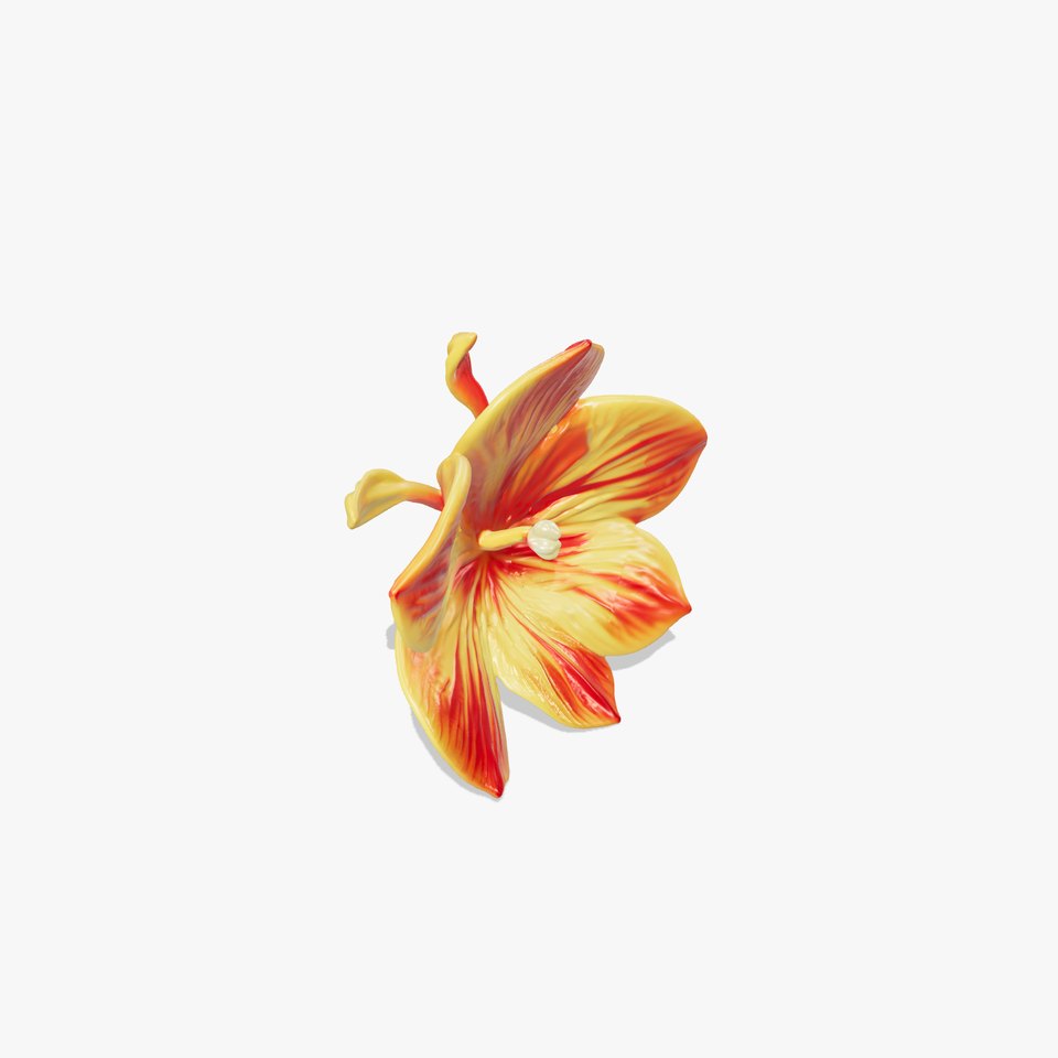 Vibrant Tropical Flower Model Pack