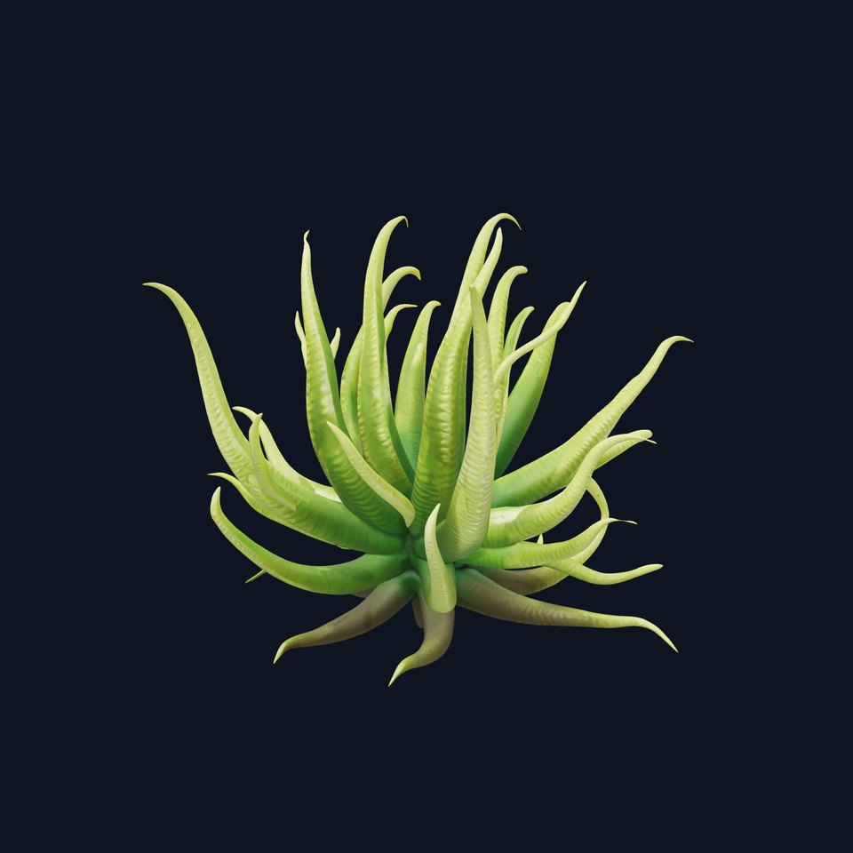 Succulent Plant Model Pack for Realistic Environments